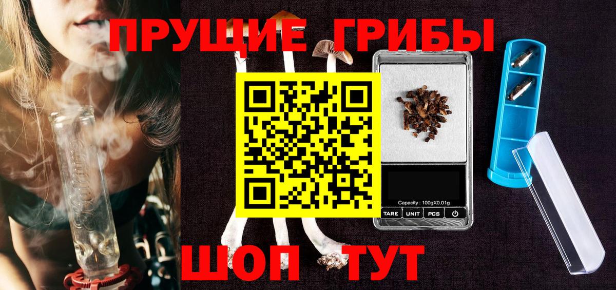 Волхов  Галлюциногенные грибы MAGIC MUSHROOMS  Вход с VPN 